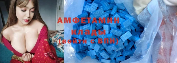 мет Бородино