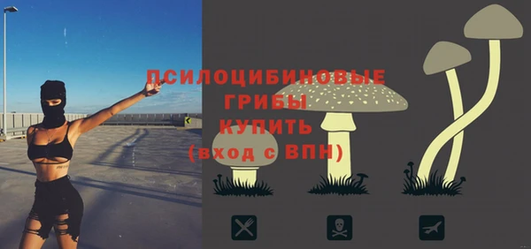 apvp Бронницы