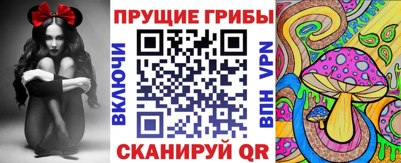 Псилоцибиновые грибы мицелий  где купить наркоту  Зима 