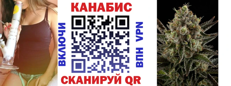 где можно купить наркотик Зима Шишки марихуана тримм